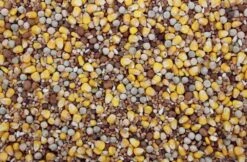 Populair Duivenvoer 20 Kg -Dieren Serie Winkel 8715207200819 2