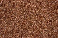 Dari Rood 20 Kg -Dieren Serie Winkel 8715207201328 2