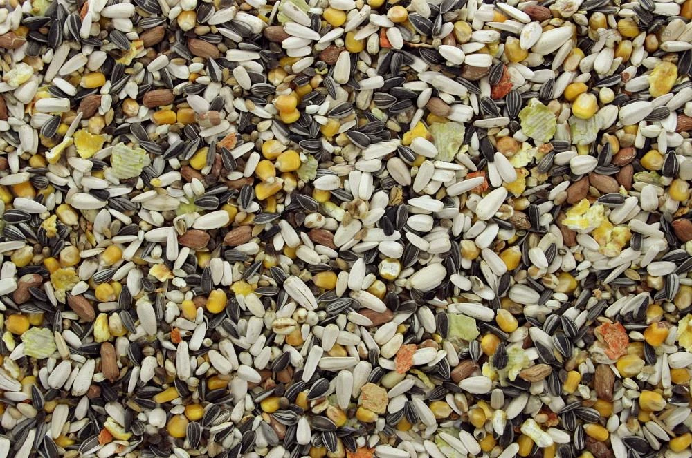 Papegaaienvoer I 3 Kg 4 Papegaaienvoer I 3 Kg - Afbeelding 2