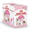 Royal Canin Kattenvoer Kitten In Jelly 12 X 85 Gr -Dieren Serie Winkel 9003579311783