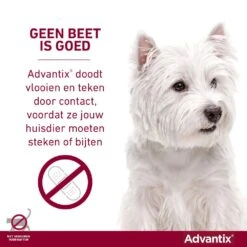 Advantix 400 4 Pipetten -Dieren Serie Winkel Advantix geenbeetisgoed 1
