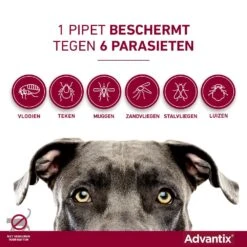 Advantix 400 4 Pipetten -Dieren Serie Winkel Advantix pipettegen6parasieten 1