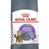 Royal Canin Kattenvoer Appetite Control Care 2 Kg 1 Royal Canin Kattenvoer Appetite Control Care 2 Kg -Dieren Serie Winkel Appetite Control Care
