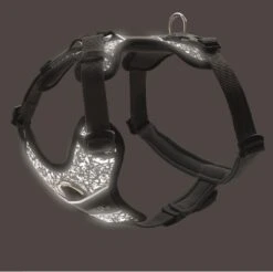 Hunter Hondentuig Divo Reflective Zwart/Grijs 9 Hunter Hondentuig Divo Reflective Zwart/Grijs -Dieren Serie Winkel HUNTER 20109 68958 005 20 original