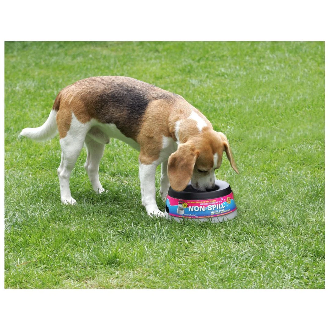 Road Refresher Grijs 10 Road Refresher Grijs - Afbeelding 8