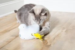 PetSafe Frolicat Peek-a-bird -Dieren Serie Winkel Peek a Bird LS Cat 7954