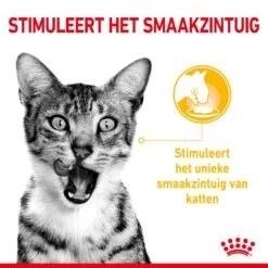 Royal Canin Kattenvoer Sensory Taste In Gravy 12 X 85 Gr -Dieren Serie Winkel RC SPT WET SensTasteCIG CV 1 nl NL