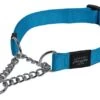 Rogz Beltz Utility Sliphalsband Turquoise 2 Rogz Beltz Utility Sliphalsband Turquoise -Dieren Serie Winkel RHC11FDET0