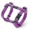 Rogz Beltz Utility Hondentuig Purple -Dieren Serie Winkel RSJ14E DET0