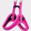 Rogz Beltz Utility Hondentuig Fast Fit Pink -Dieren Serie Winkel RSJQ32KDET0
