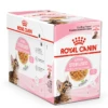 Royal Canin Kattenvoer Kitten Sterilised Jelly 12 X 85 Gr -Dieren Serie Winkel SOL KITTEN STER CIJ WET PACKSHOT BOX B1 Med. Res. Basic 1