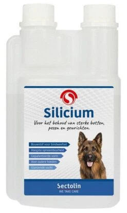Sectolin Silicium 500 Ml