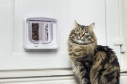 Sureflap Kattenluik Connect Wit -Dieren Serie Winkel SureFlap Microchip Cat Flap Connect Colin 4