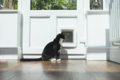 Sureflap Huisdierluik Connect Wit -Dieren Serie Winkel Sure Petcare Pet Door Connect Clara Looking Out