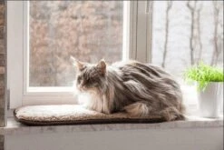 Petlando Windowchiller Stone -Dieren Serie Winkel WIndowchiller 1