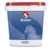 Sectolin Equivital Biotine 1 Kg 1 Sectolin Equivital Biotine 1 Kg -Dieren Serie Winkel id1 equivitalbiotine1kg11035 1