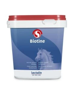 Sectolin Equivital Biotine 1 Kg