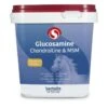 Sectolin Equivital Glucosamine, Chondroïtine & MSM 1 Kg -Dieren Serie Winkel id1 glucosaminechondro tinemsm1kg14075 1