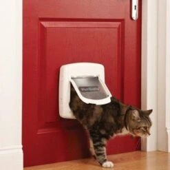 PetSafe Staywell Kattenluik Deluxe Magnetic 400 White -Dieren Serie Winkel petsafe 400 magnetisch kattenluik wit 2