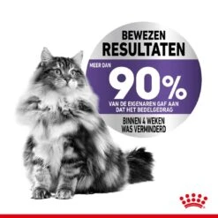Royal Canin Kattenvoer Appetite Control Care 2 Kg -Dieren Serie Winkel royal canin appetite control care gesteriliseerd volwassen kat bedelgedrag hero image 9
