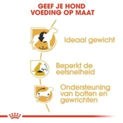 Royal Canin Hondenvoer Beagle Adult 12 Kg -Dieren Serie Winkel royal canin beagle adult volwassen hond beagle vanaf 12 maanden hero usp 1