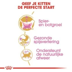 Royal Canin Kattenvoer British Shorthair Kitten 2 Kg -Dieren Serie Winkel royal canin british shorthair kitten kitten kat brits korthaar hero usp