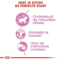 Royal Canin Kattenvoer Kitten In Gravy 12 X 85 Gr -Dieren Serie Winkel royal canin kitten in gravy kitten kat natuurlijke weerstand hero usp