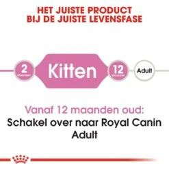 Royal Canin Kattenvoer Kitten 10 Kg -Dieren Serie Winkel royal canin kitten kitten kat groeifase hero image 8