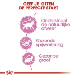 Royal Canin Kattenvoer Kitten 10 Kg -Dieren Serie Winkel royal canin kitten kitten kat groeifase hero usp