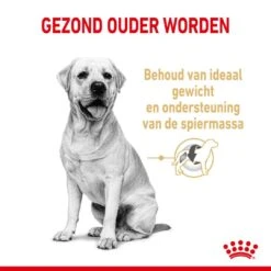 Royal Canin Hondenvoer Labrador Retriever Adult 5+ 12 Kg -Dieren Serie Winkel royal canin labrador retriever adult volwassen hond labrador retriever vanaf 5 jaar hero usp 1