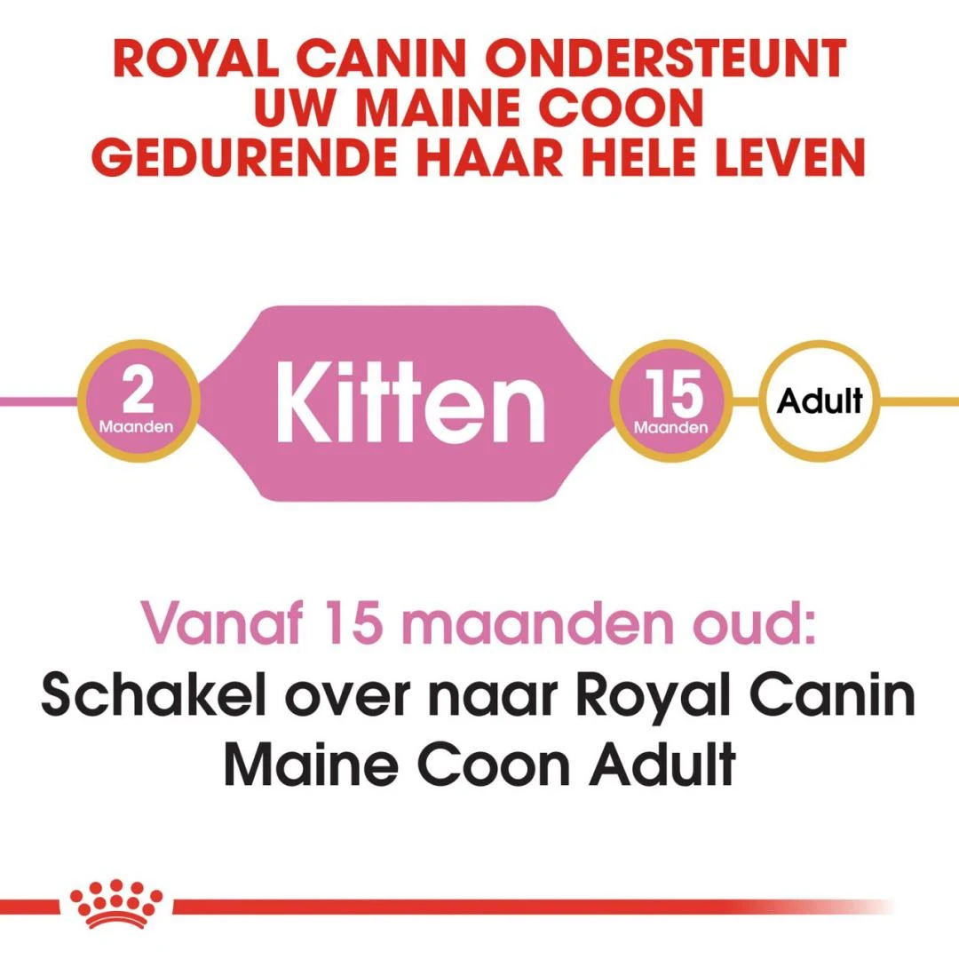 Royal Canin Kattenvoer Maine Coon Kitten 10 Kg 6 Royal Canin Kattenvoer Maine Coon Kitten 10 Kg - Afbeelding 4