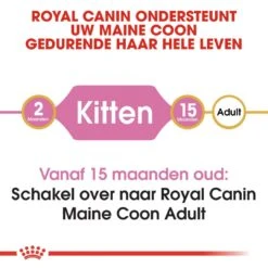 Royal Canin Kattenvoer Maine Coon Kitten 4 Kg -Dieren Serie Winkel royal canin maine coon kitten kitten kat maine coon hero image 8