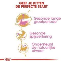 Royal Canin Kattenvoer Maine Coon Kitten 10 Kg 8 Royal Canin Kattenvoer Maine Coon Kitten 10 Kg -Dieren Serie Winkel royal canin maine coon kitten kitten kat maine coon hero usp 1