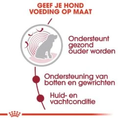 Royal Canin Hondenvoer Medium Ageing 10+ 10 X 140 Gr -Dieren Serie Winkel royal canin medium ageing 10plus natvoer senior hond oudere hond vanaf 10 jaar hero usp