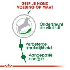 Royal Canin Hondenvoer Mini Adult 8+ 2 Kg -Dieren Serie Winkel royal canin mini adult 8plus volwassen hond kleine hondenrassen vanaf 8 jaar hero usp