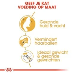 Royal Canin Kattenvoer Norwegian Forest Cat Adult 10 Kg 7 Royal Canin Kattenvoer Norwegian Forest Cat Adult 10 Kg -Dieren Serie Winkel royal canin norwegian forest cat adult volwassen kat noorse boskat hero usp