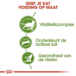 Royal Canin Kattenvoer Outdoor 7+ 2 Kg -Dieren Serie Winkel royal canin outdoor 7plus volwassen kat buitenkatten vanaf 7 jaar hero usp