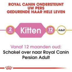 Royal Canin Kattenvoer Persian Kitten 10 Kg -Dieren Serie Winkel royal canin persian kitten kitten kat pers hero image 8