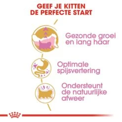 Royal Canin Kattenvoer Persian Kitten 10 Kg -Dieren Serie Winkel royal canin persian kitten kitten kat pers hero usp