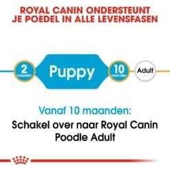 Royal Canin Hondenvoer Poodle Puppy 3 Kg -Dieren Serie Winkel royal canin poodle junior pup hond poedel hero image 9
