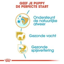 Royal Canin Hondenvoer Poodle Puppy 3 Kg -Dieren Serie Winkel royal canin poodle junior pup hond poedel hero usp