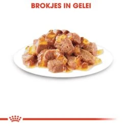 Royal Canin Kattenvoer Sterilised In Jelly 12 X 85 Gr 8 Royal Canin Kattenvoer Sterilised In Jelly 12 X 85 Gr -Dieren Serie Winkel royal canin sterilised in jelly volwassen kat castratie sterilisatie hero kibble