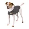 Thundershirt -Dieren Serie Winkel thundershirt jackrussel